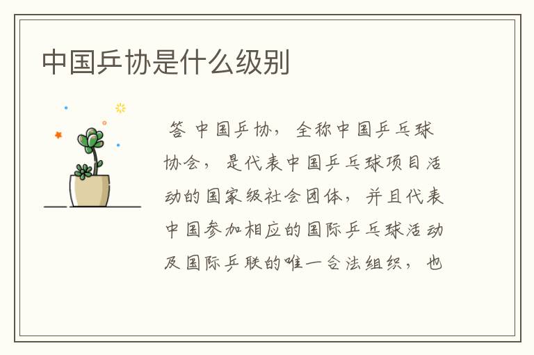 中国乒协是什么级别