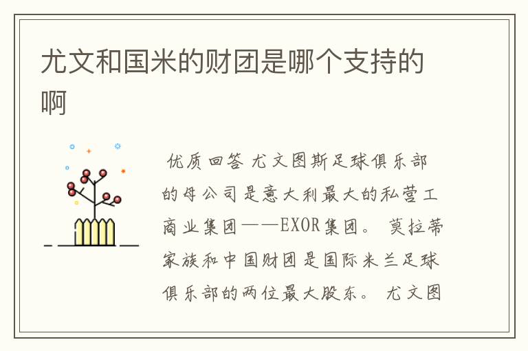 尤文和国米的财团是哪个支持的啊