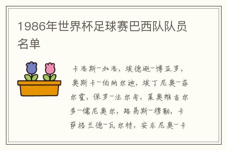 1986年世界杯足球赛巴西队队员名单