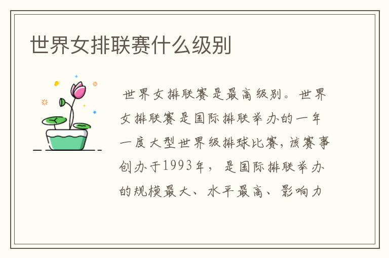 世界女排联赛什么级别