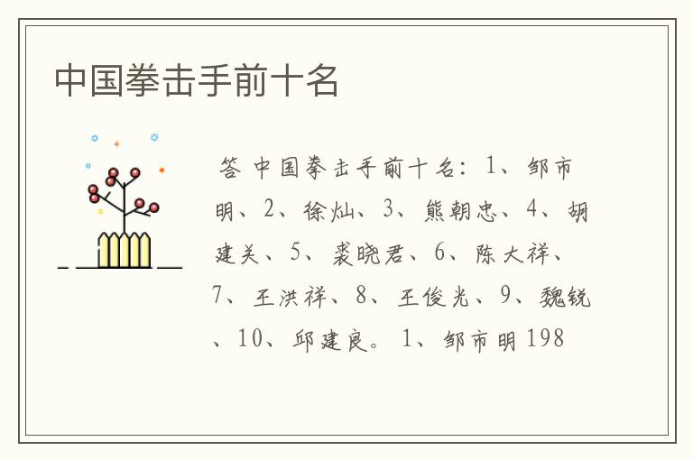 中国拳击手前十名