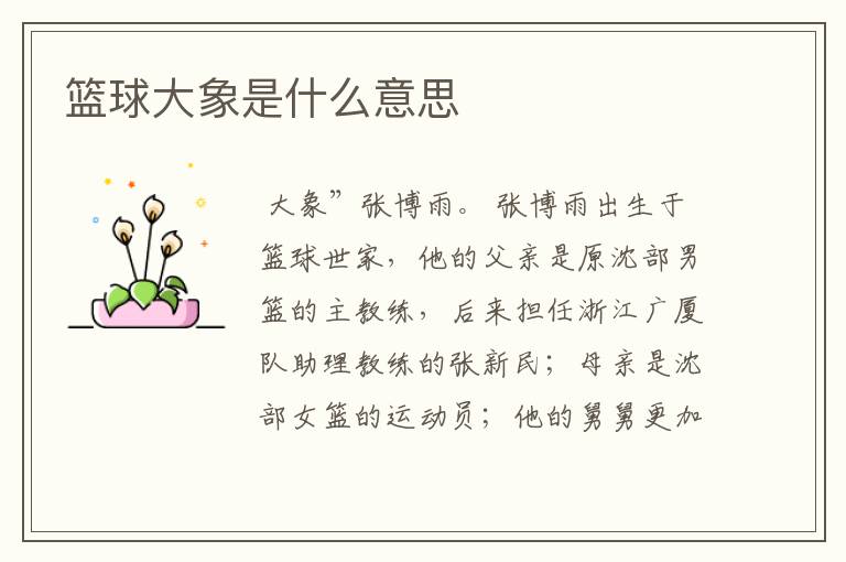 篮球大象是什么意思