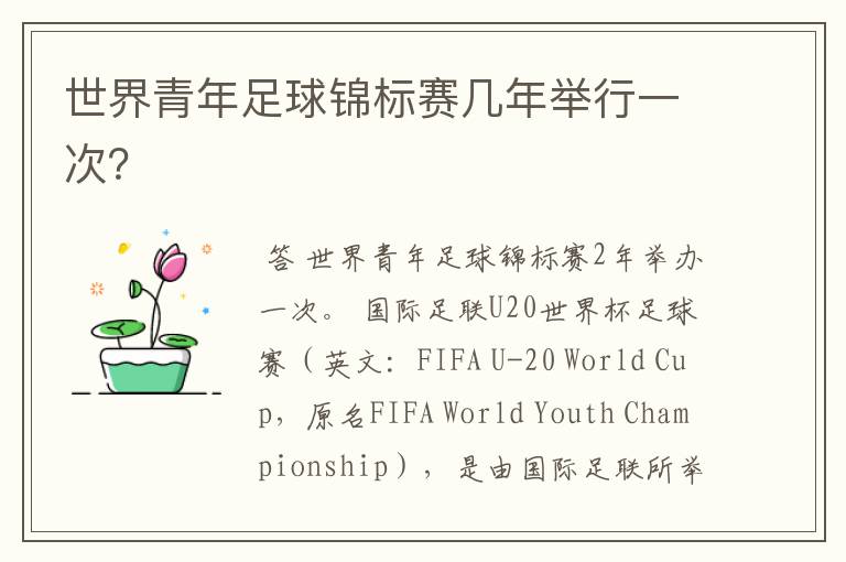世界青年足球锦标赛几年举行一次?