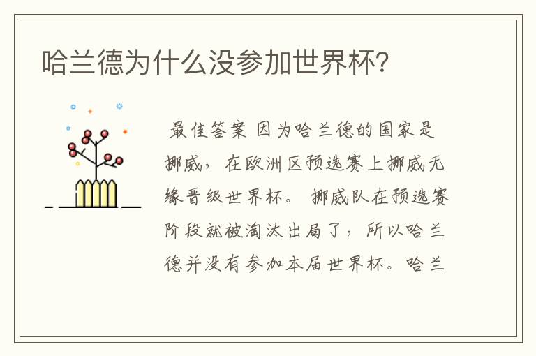 哈兰德为什么没参加世界杯?