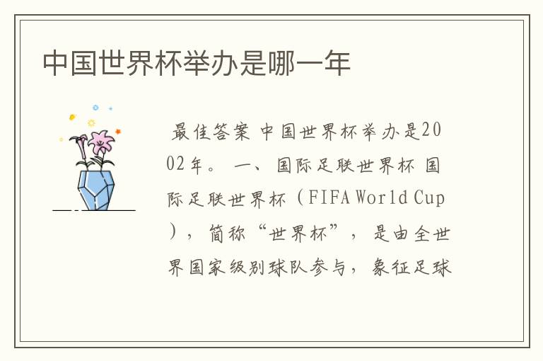 中国世界杯举办是哪一年