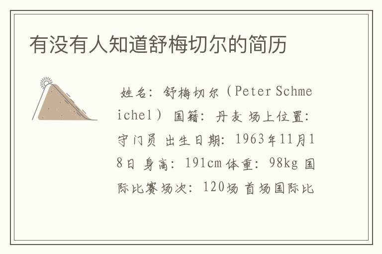 有没有人知道舒梅切尔的简历