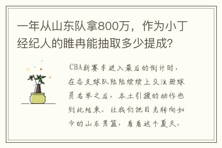 一年从山东队拿800万,作为小丁经纪人的睢冉能抽取多少提成?
