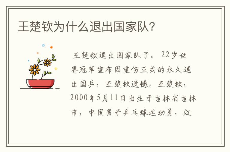 王楚钦为什么退出国家队?