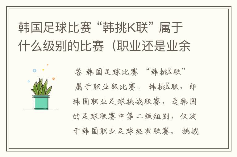 韩国足球比赛 “韩挑K联” 属于什么级别的比赛(职业还是业余)?
