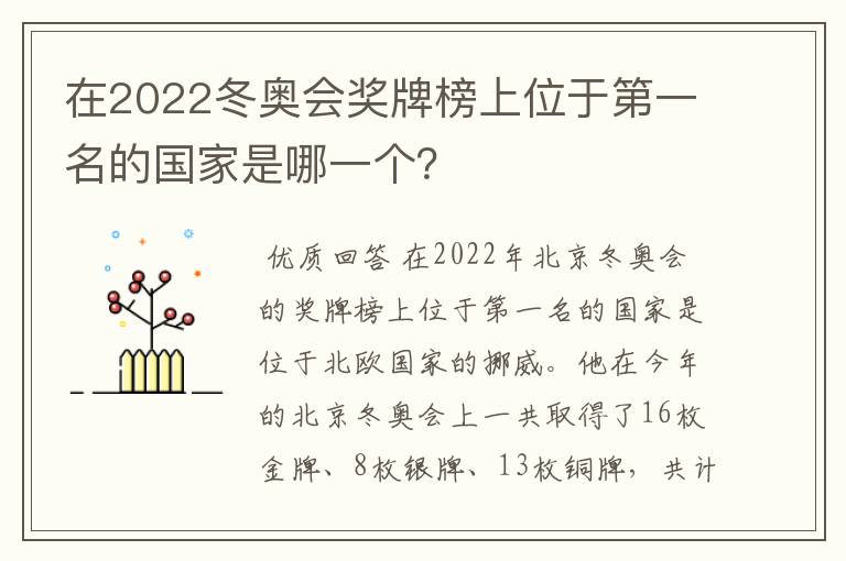 在2022冬奥会奖牌榜上位于第一名的国家是哪一个?