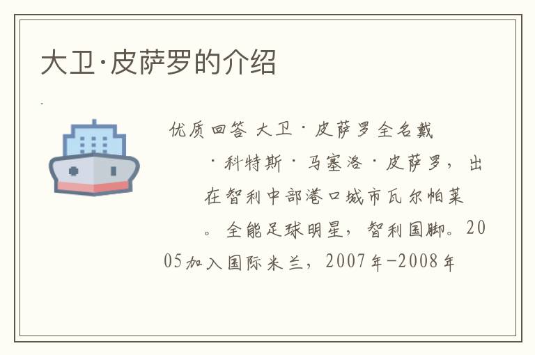 大卫·皮萨罗的介绍