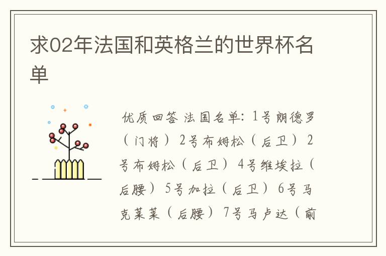 求02年法国和英格兰的世界杯名单