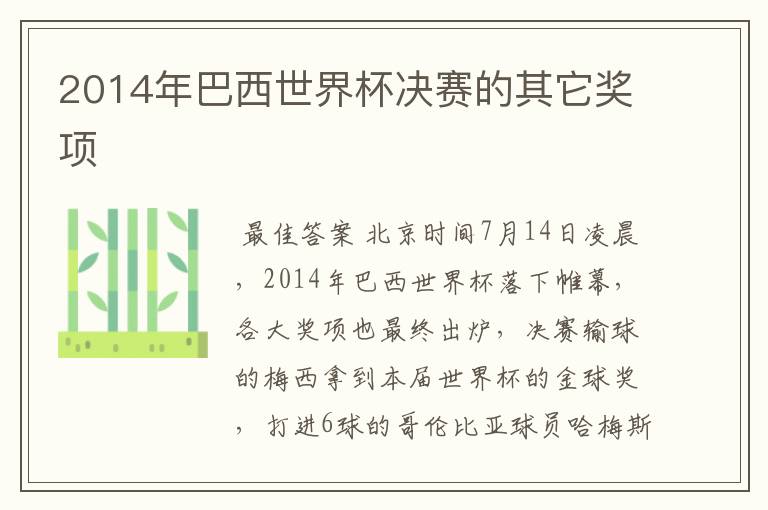 2014年巴西世界杯决赛的其它奖项