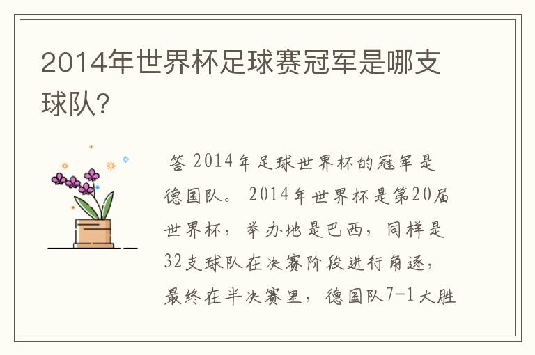 2014年世界杯足球赛冠军是哪支球队?