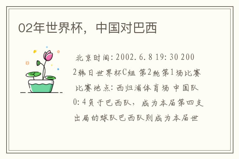 02年世界杯，中国对巴西