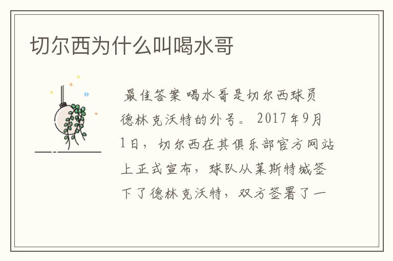 切尔西为什么叫喝水哥