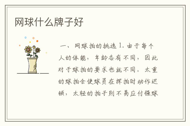 网球什么牌子好