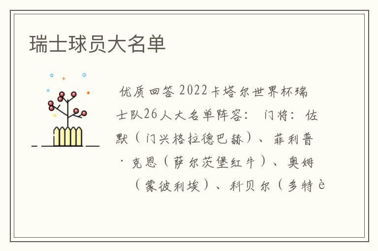 瑞士球员大名单