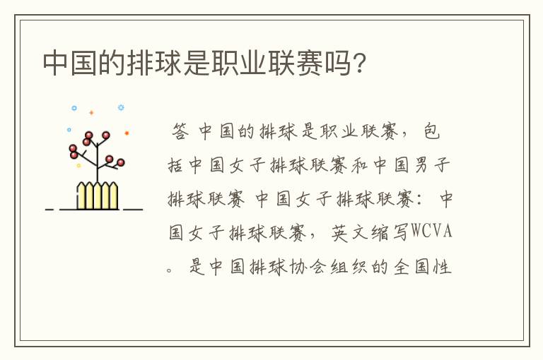 中国的排球是职业联赛吗?