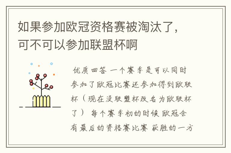 如果参加欧冠资格赛被淘汰了,可不可以参加联盟杯啊