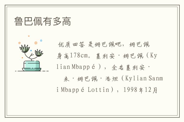 鲁巴佩有多高