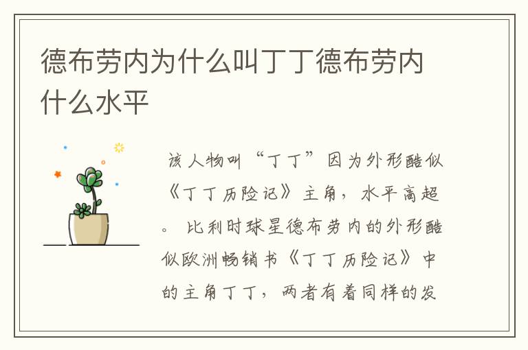 德布劳内为什么叫丁丁德布劳内什么水平