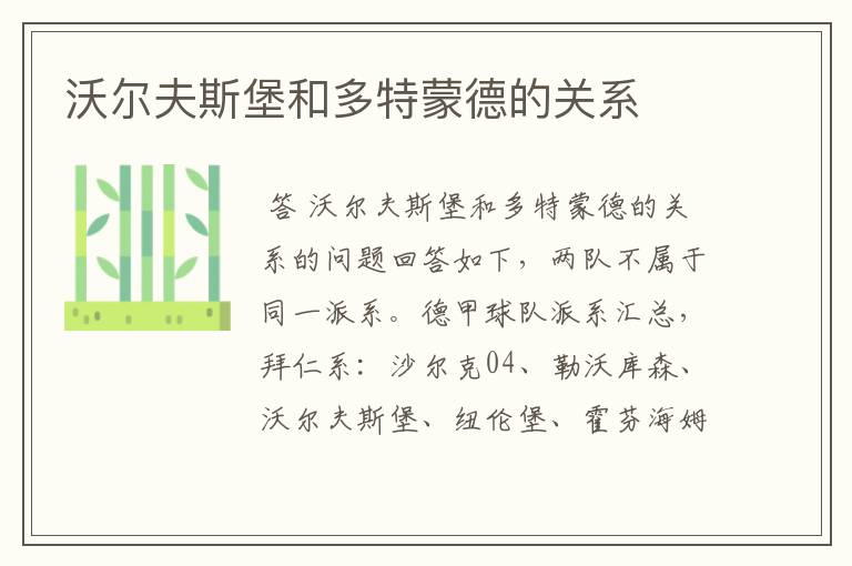 沃尔夫斯堡和多特蒙德的关系