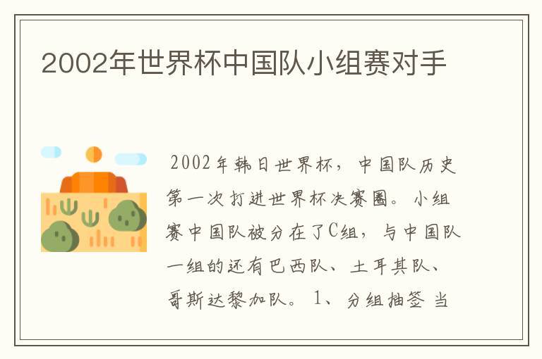 2002年世界杯中国队小组赛对手