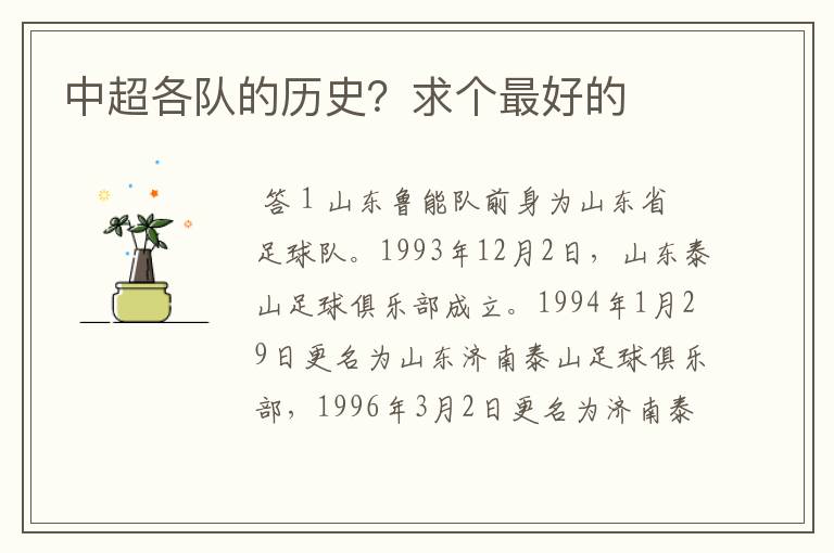 中超各队的历史?求个最好的