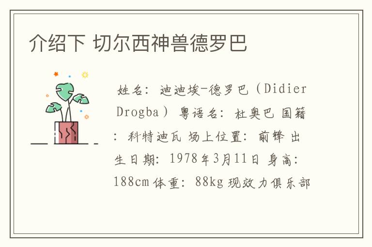 介绍下 切尔西神兽德罗巴