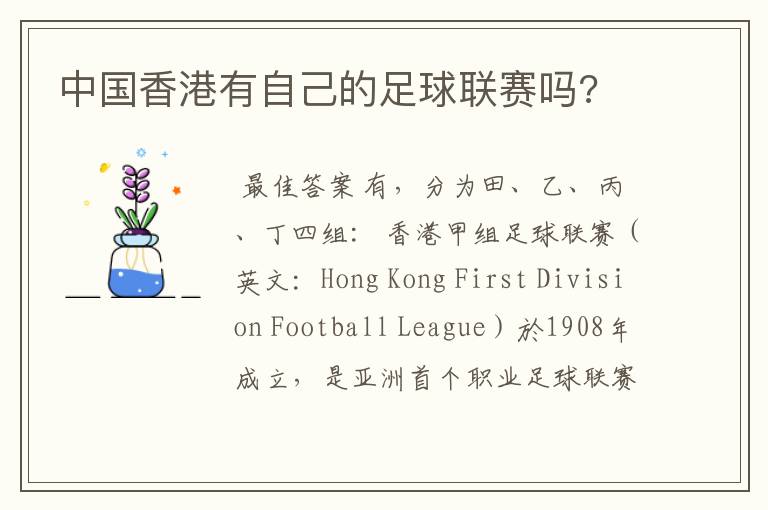 中国香港有自己的足球联赛吗?
