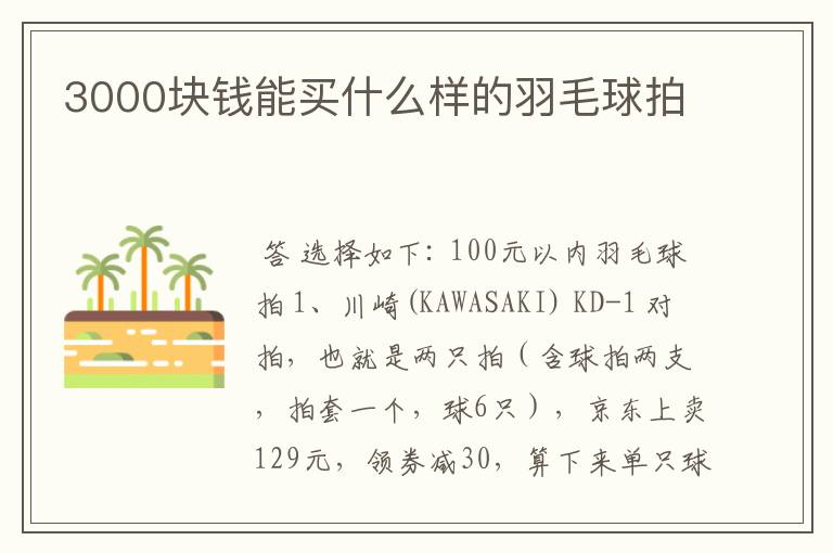 3000块钱能买什么样的羽毛球拍