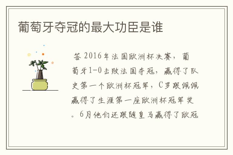 葡萄牙夺冠的最大功臣是谁