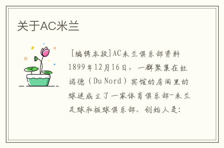 关于AC米兰