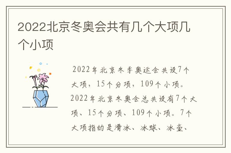 2022北京冬奥会共有几个大项几个小项