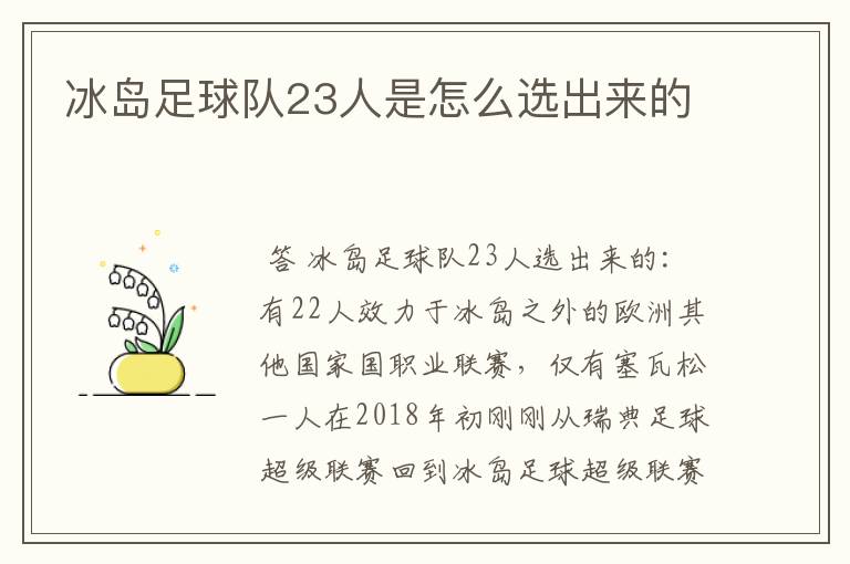 冰岛足球队23人是怎么选出来的