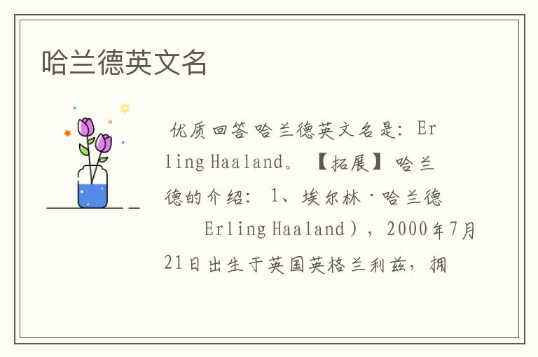 哈兰德英文名