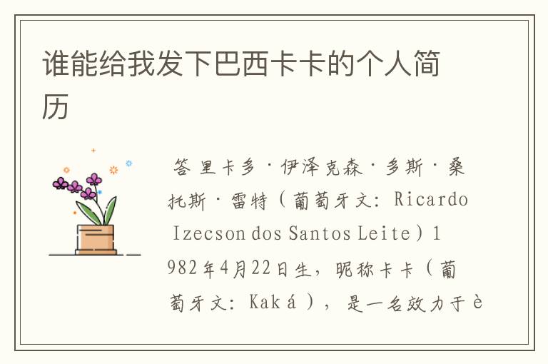 谁能给我发下巴西卡卡的个人简历