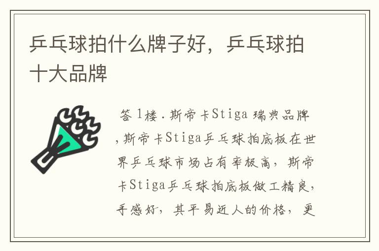 乒乓球拍什么牌子好,乒乓球拍十大品牌