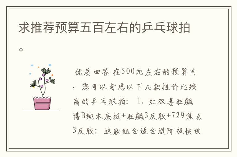 求推荐预算五百左右的乒乓球拍。
