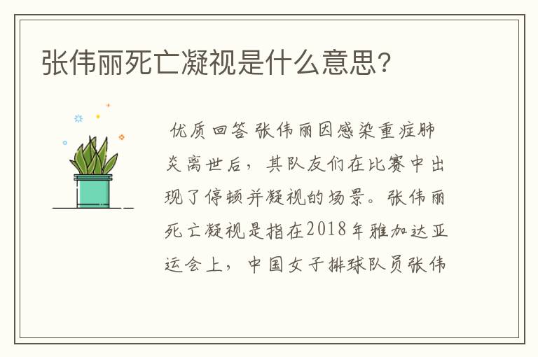 张伟丽死亡凝视是什么意思?