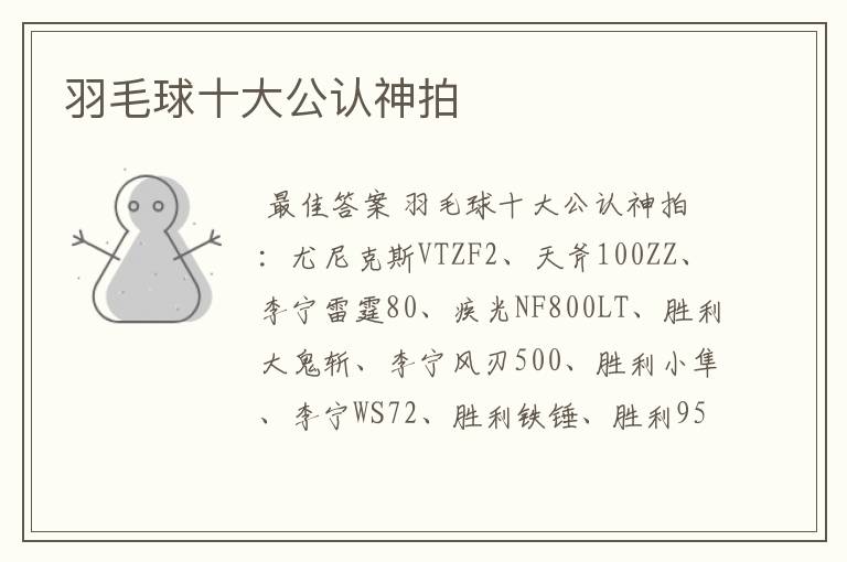 羽毛球十大公认神拍