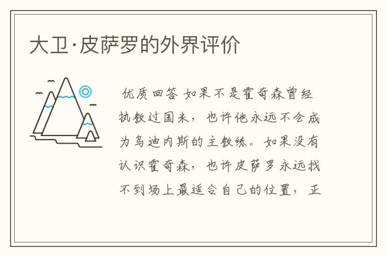 大卫·皮萨罗的外界评价
