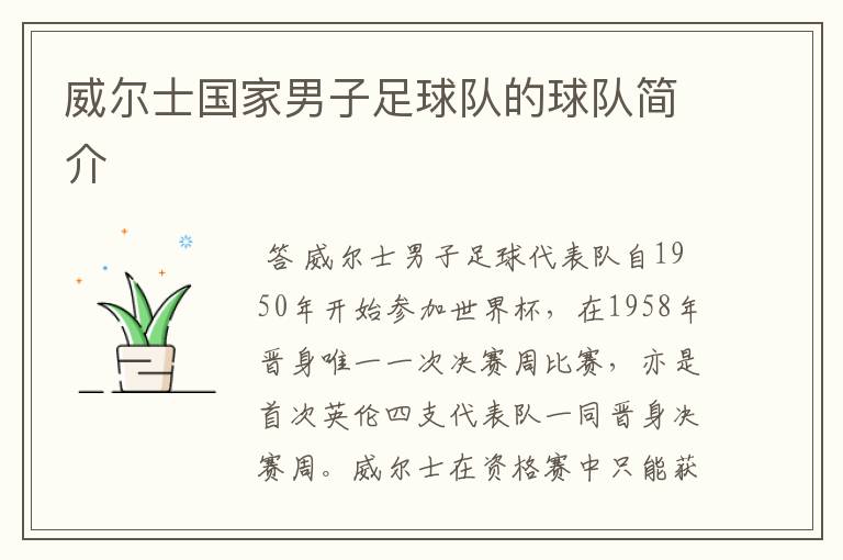 威尔士国家男子足球队的球队简介