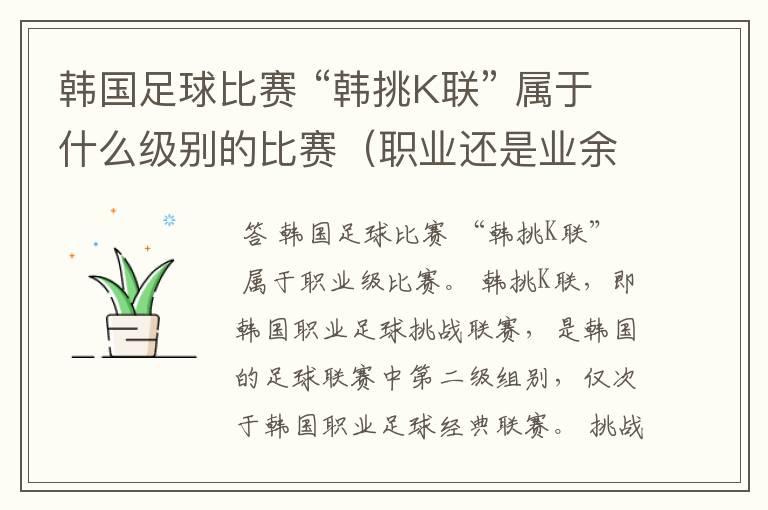 韩国足球比赛 “韩挑K联” 属于什么级别的比赛(职业还是业余)?
