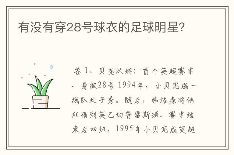 有没有穿28号球衣的足球明星?