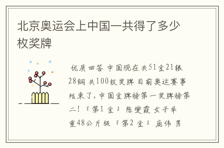 北京奥运会上中国一共得了多少枚奖牌