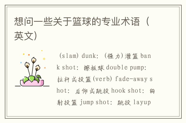 想问一些关于篮球的专业术语(英文)