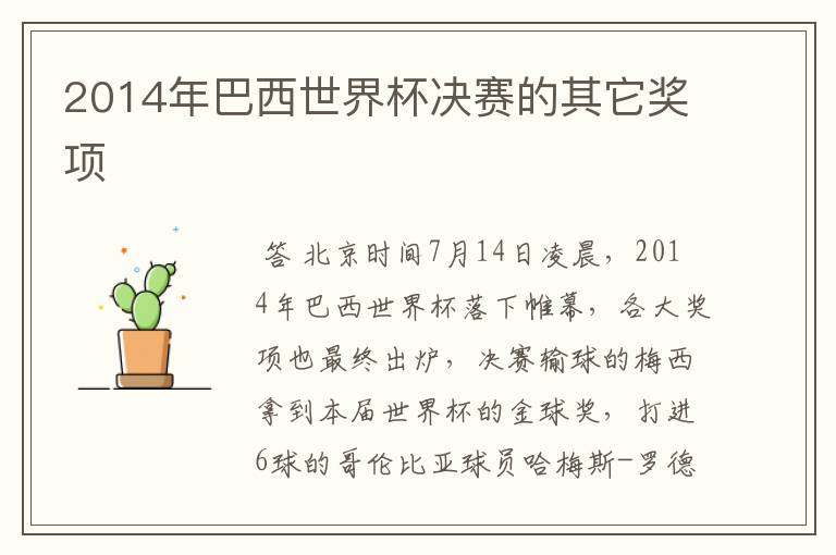 2014年巴西世界杯决赛的其它奖项