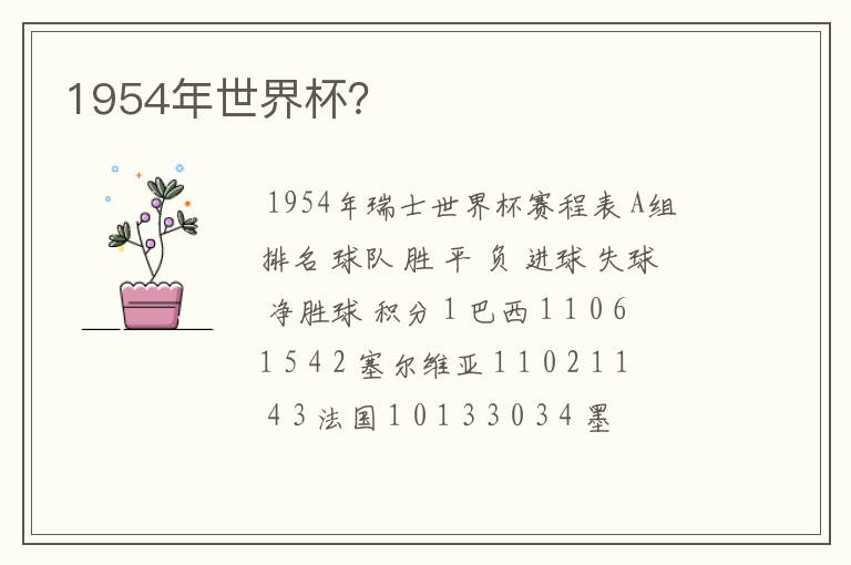 1954年世界杯?